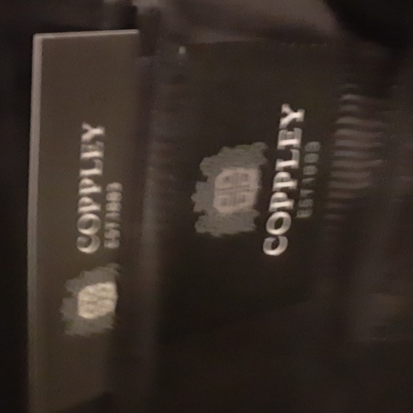 Men's Suit Copplsy - Picture 3 of 5